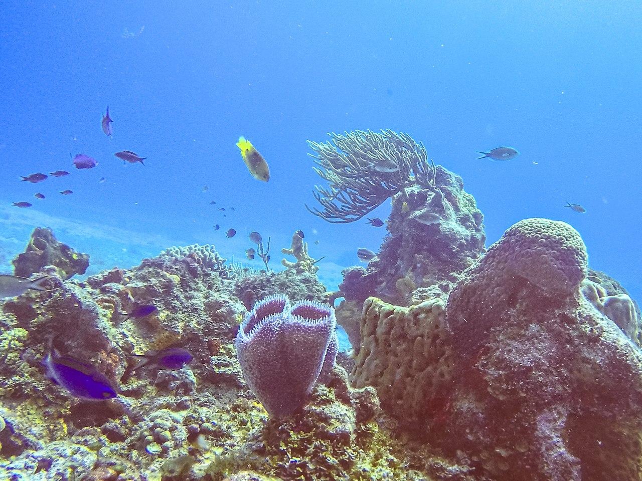 Cozumel, Mexico